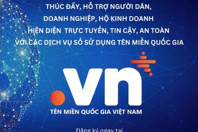 Chương trình thúc đẩy, hỗ trợ người dân, doanh nghiệp hiện diện trực tuyến tin cậy, an toàn với các dịch vụ số sử dụng tên miền quốc gia “.vn” trên địa bàn tỉnh Quảng Ngãi năm 2025