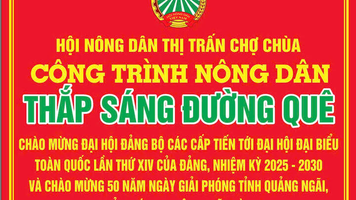 Công trình nông dân thắp sáng đường quê tại Tổ dân phố Phú Bình Đông của Hội Nông dân thị trấn Chợ Chùa