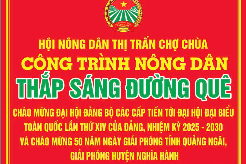 Công trình nông dân thắp sáng đường quê tại Tổ dân phố Phú Bình Đông của Hội Nông dân thị trấn Chợ Chùa
